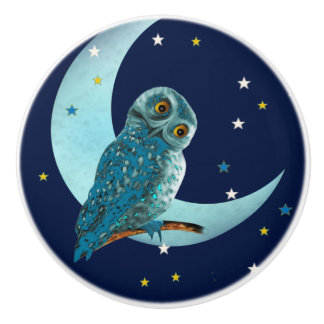 Cute Blue Owl with Moon and Stars Ceramic Knob