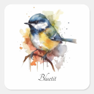 Cute bluetit sitting on a branch  square sticker