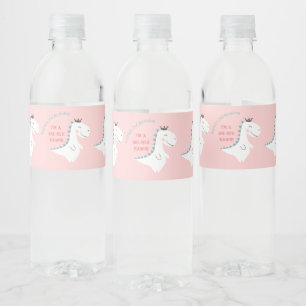 Cute Blush Pink Teal Dinosaur Birthday Party Water Bottle Label