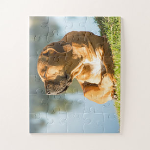 Cute Boerboel Dog Jigsaw Puzzle