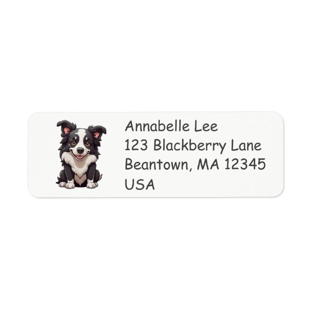 Cute Border Collie (Front)