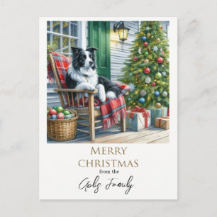 Cute Border Collie Christmas Holiday  Postcard