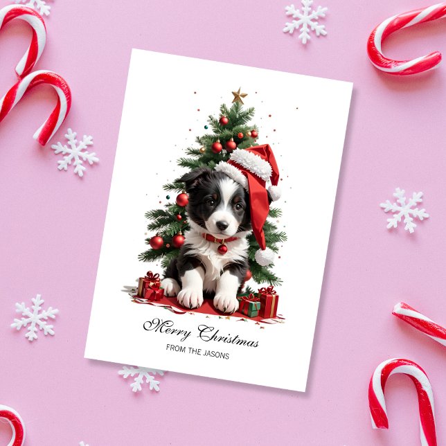 Cute Border Collie Christmas Puppy Personalised Holiday Card (Cute Border Collie Christmas Card)