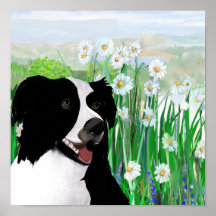 Cute, Border Collie Daisies Wall Art Poster