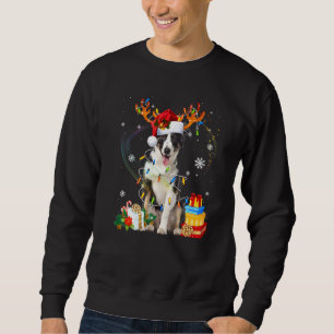 Cute Border Collie Dog Lights Santa Hat Sweater Ch