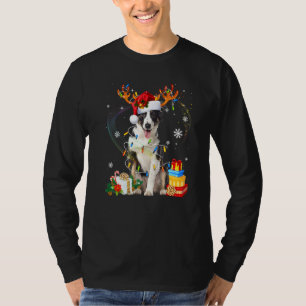 Cute Border Collie Dog Lights Santa Hat Sweater Ch