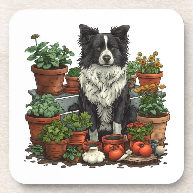 Cute Border Collie Gardening Coaster (Front)