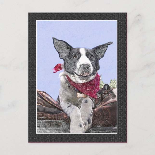 Cute Border Collie Heeler Mix Dog Sketch Art Hello Postcard (Front)