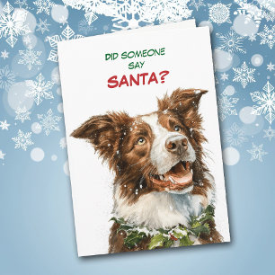 Cute Border Collie Looks for Santa Holiday Card