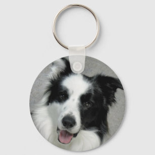 Cute Border Collie Photo Portrait Key Ring