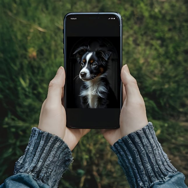 Cute Border Collie Poster (Creator Uploaded)