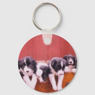 Cute Border Collie Puppies Keychain