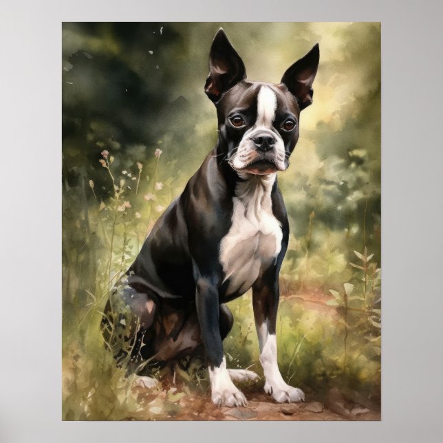 Cute Boston Terrier Dog Art Print Poster (Front)