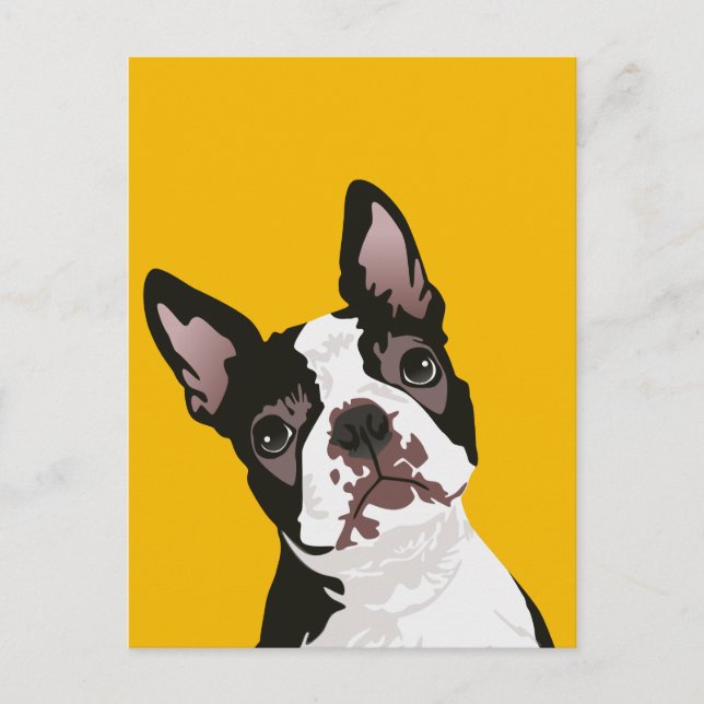 Cute Boston Terrier Dog for Boston Terrier Owner Postcard (Front)
