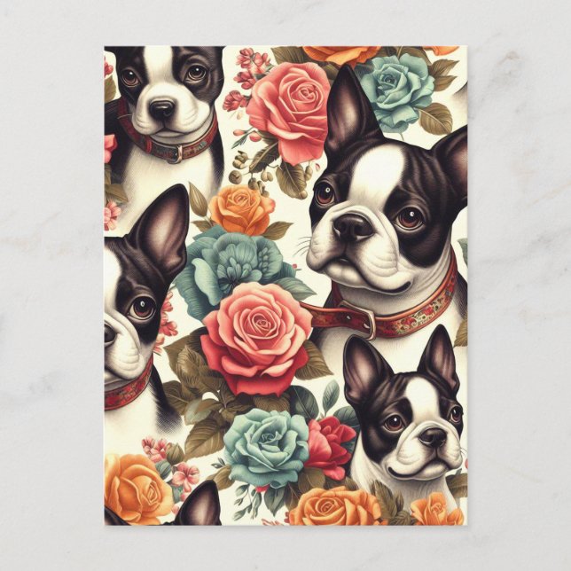 Cute Boston Terrier Illustration Postcard (Front)