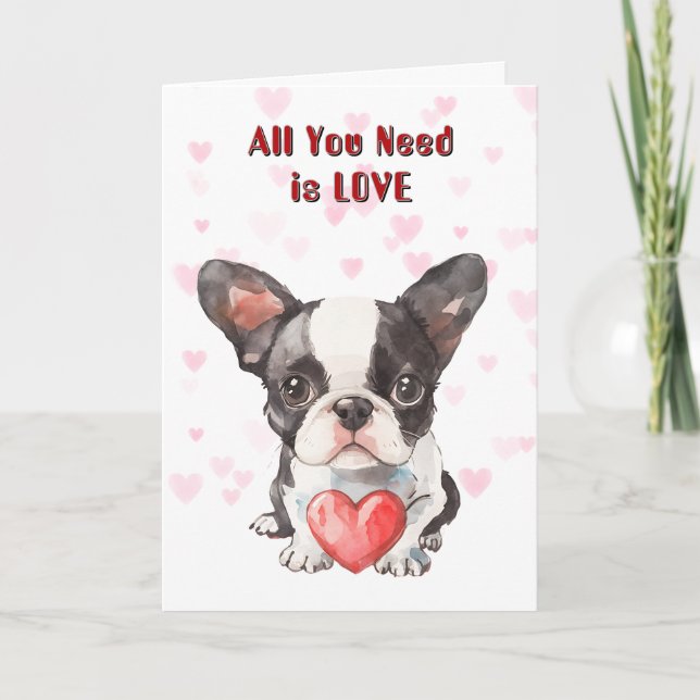 Cute Boston Terrier Puppy All You Need Valentine Holiday Card (Front)