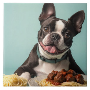 Cute Boston Terrier With Spaghetti Bolognaise  Tile