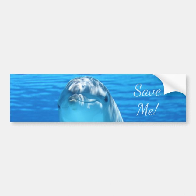 Cute Bottlenose Dolphin underwater Bumper Sticker (Front)