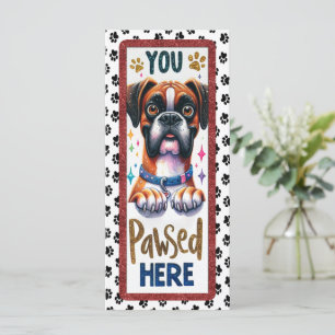 Cute Boxer Dog
