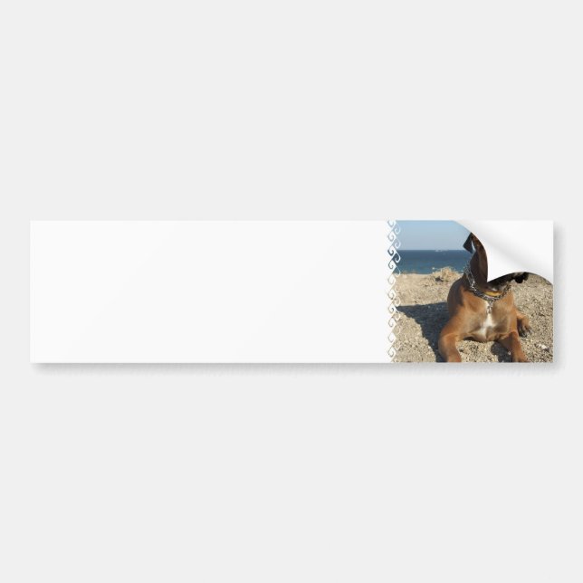 Cute Boxer Dog Bumper Sticker (Front)