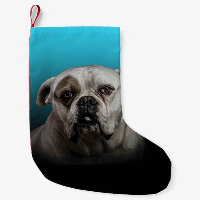 Cute Boxer Dog w Blue Black Gradient background Small Christmas Stocking (Front)