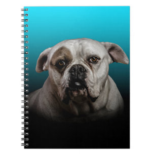 Cute Boxer Dog w Blue Black Gradient  background Spiral Notebook