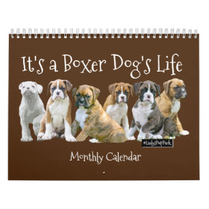 Cute Boxer Puppies Calendar