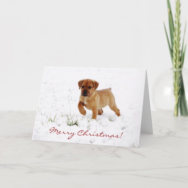 Cute Boxer Puppy Dog Christmas Greeting Card (Front)