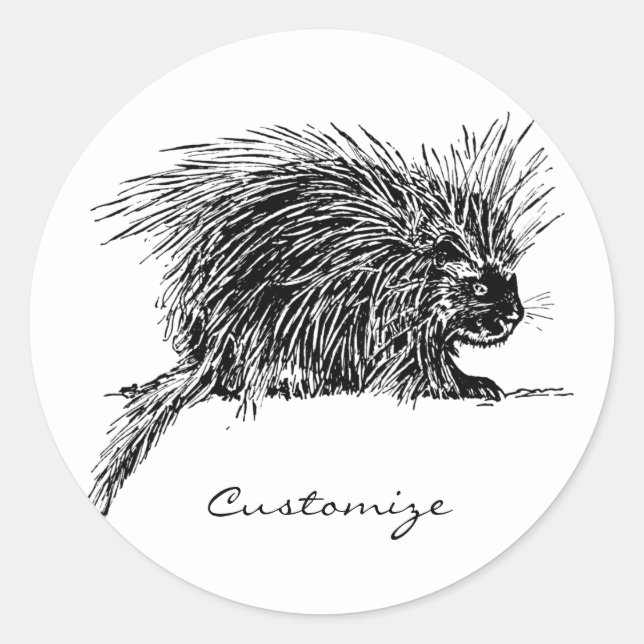 Cute Bristly Hedgehog Thunder_Cove Classic Round Sticker (Front)