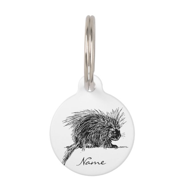 Cute Bristly Hedgehog Thunder_Cove Pet Tag (Front)