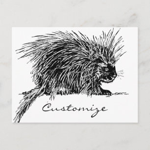 Cute Bristly Hedgehog Thunder_Cove Postcard