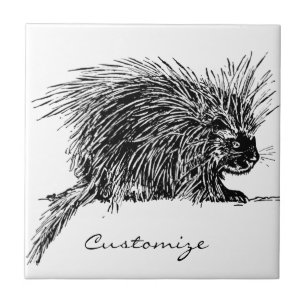 Cute Bristly Hedgehog Thunder_Cove Tile