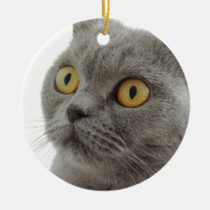 Cute British Shorthair cat Ceramic Tree Decoration