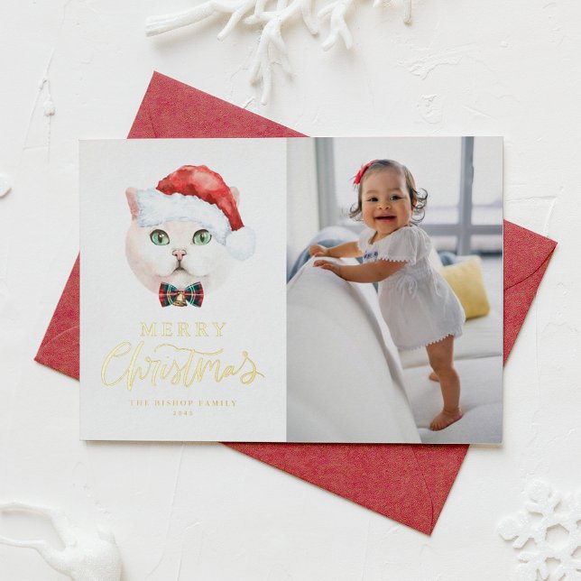 Cute British Shorthair Cat Santa Photo Christmas (Creator Uploaded)