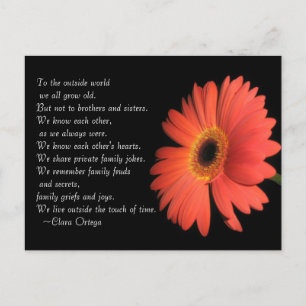 Cute Brother / Sister Siblings Birthday Postcard