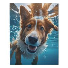 Cute Brown and White Dog Underwater