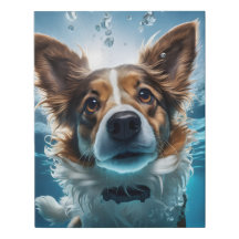 Cute Brown and White Dog Underwater Swimming