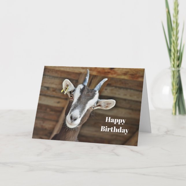 Cute Brown and White Goat Photo Birthday Card (Front)