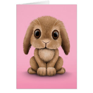 Cute Brown Baby Bunny Rabbit on Pink