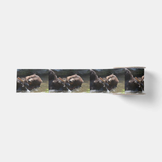 Cute Brown Bear Grosgrain Ribbon