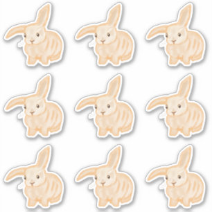 Cute Brown Bunny Rabbit - 9x cut-out.