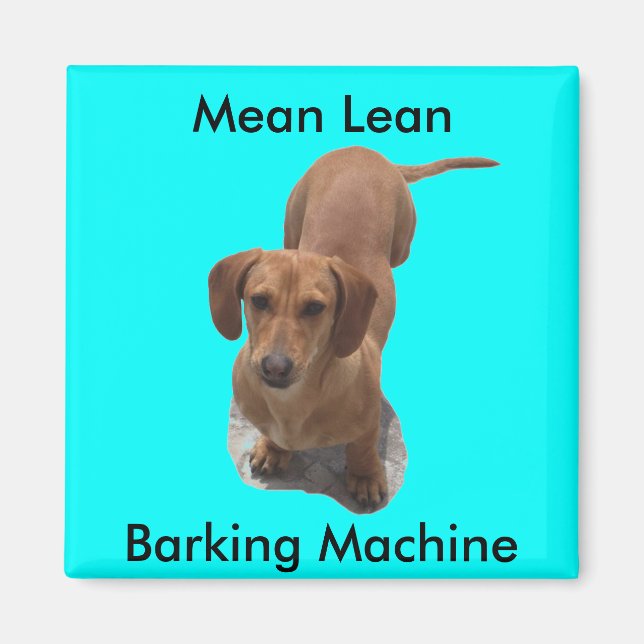 Cute Brown Dachshund Barking Machine Magnet (Front)