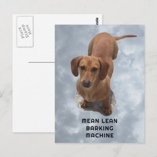 Cute Brown Dachshund Barking Machine Postcard