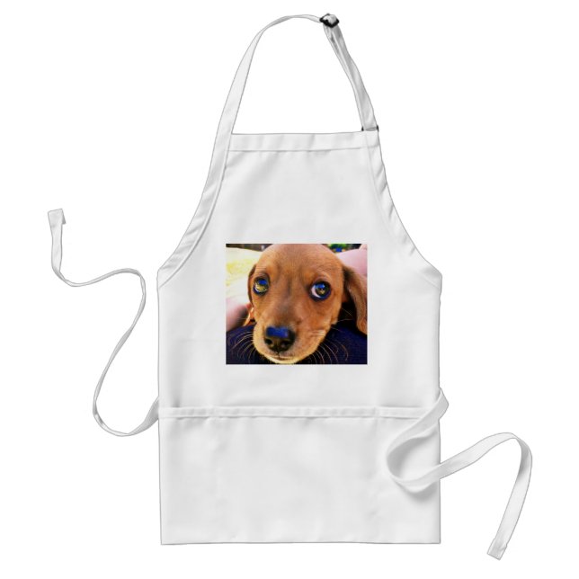 Cute Brown Dachshund Puppy Dog Standard Apron (Front)
