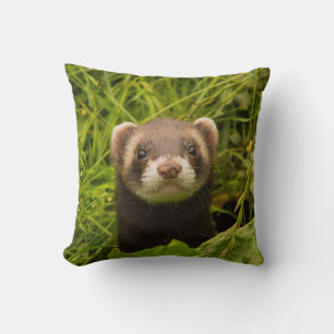 Cute Brown Ferret in the Grass Cushion