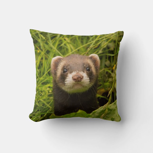 Cute Brown Ferret in the Grass Cushion (Front)