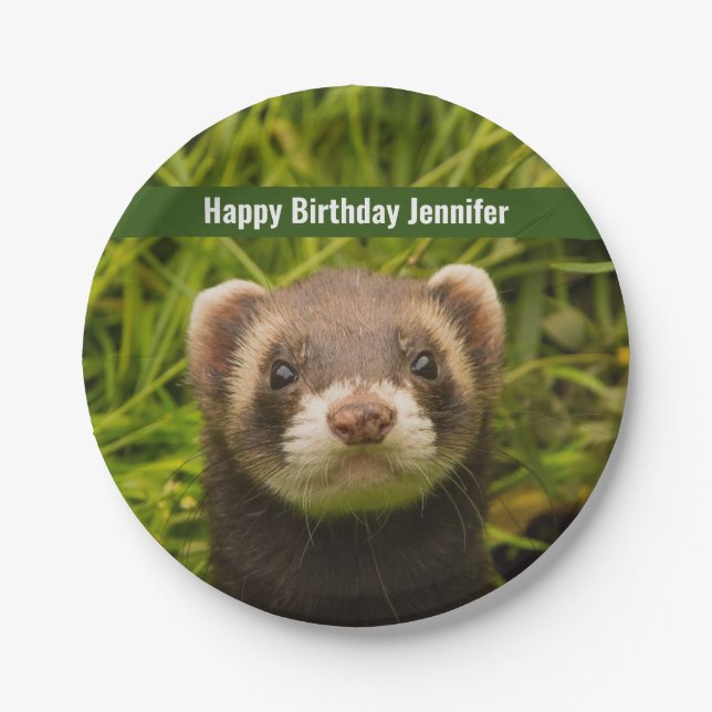 Cute Brown Ferret in the Grass Happy Birthday Paper Plate (Front)
