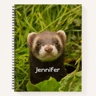 Cute Brown Ferret in the Grass Notebook