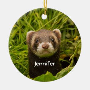 Cute Brown Ferret in the Grass Photo Ceramic Tree Decoration