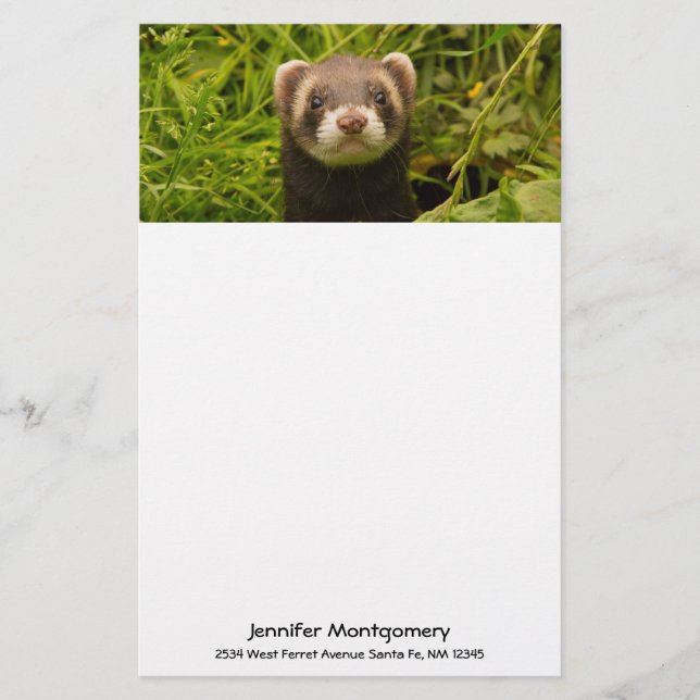 Cute Brown Ferret in the Grass Stationery (Front)